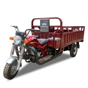 Power Gear Raptor 150CC