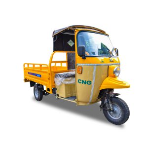 CNG AUTO CARGO LOADER DELUXE