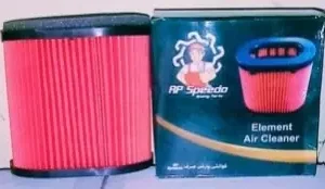 AIR FILTER BOX COMPLETE CNG RP SPEEDO